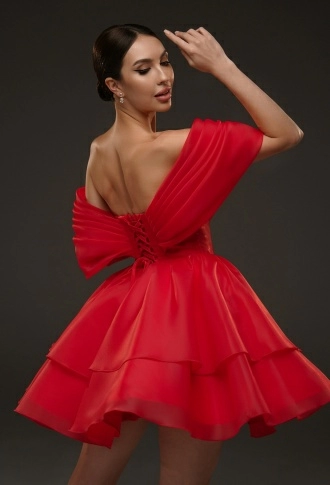Красное платье мини из органзы с пышной юбкой Красное платье мини из органзы с пышной юбкой